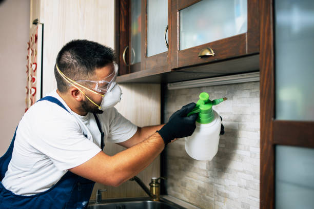 Best Residential Pest Control  in Byram, CT