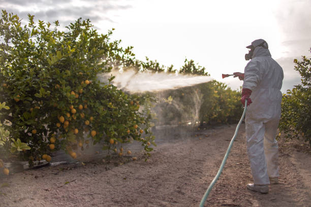 Best Exterminator Services  in Byram, CT