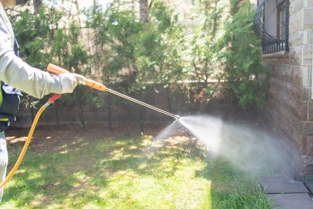 Trusted Byram, CT Pest Control Experts
