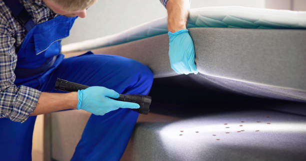 Best Pest Removal Services  in Byram, CT