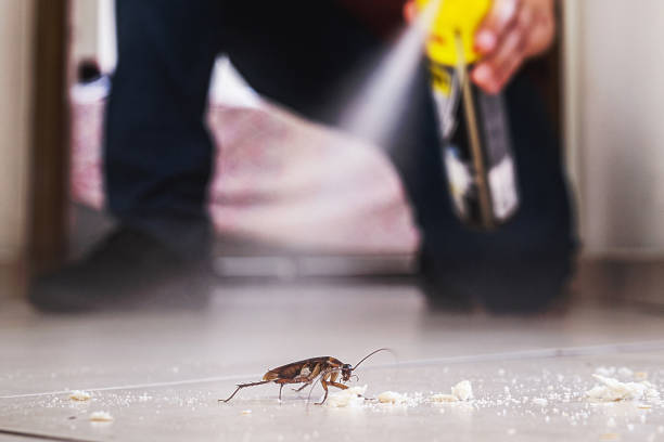 Best Cockroach Control Services  in Byram, CT