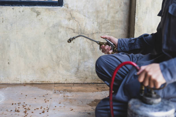 Best Termite Control Services  in Byram, CT